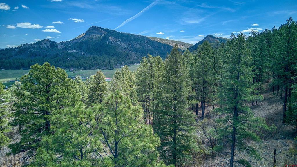 1025 Bobs Place Pagosa Springs CO 81147