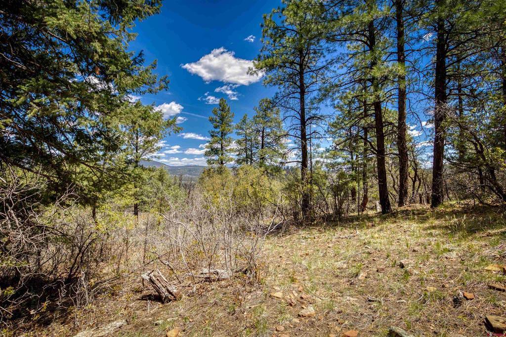 1025 Bobs Place Pagosa Springs CO 81147