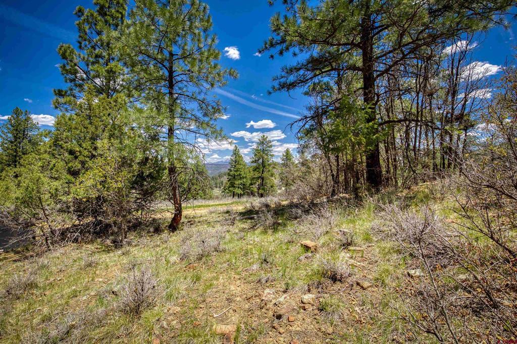 1025 Bobs Place Pagosa Springs CO 81147