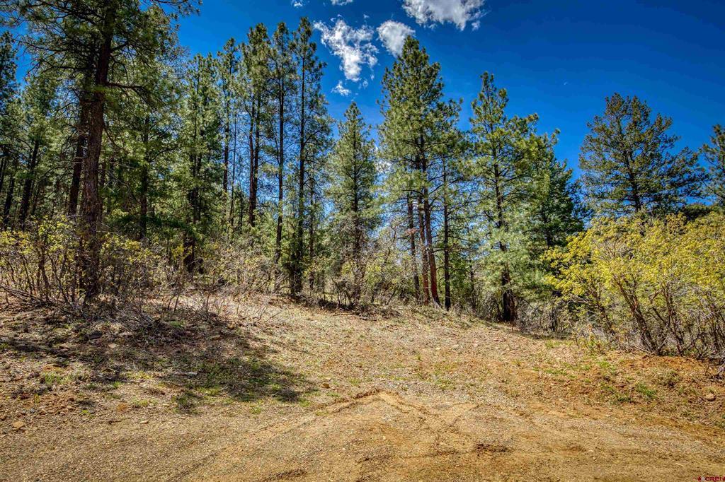 1025 Bobs Place Pagosa Springs CO 81147
