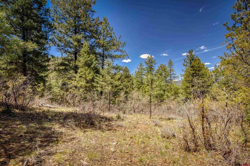 1025 Bobs Place Pagosa Springs CO 81147