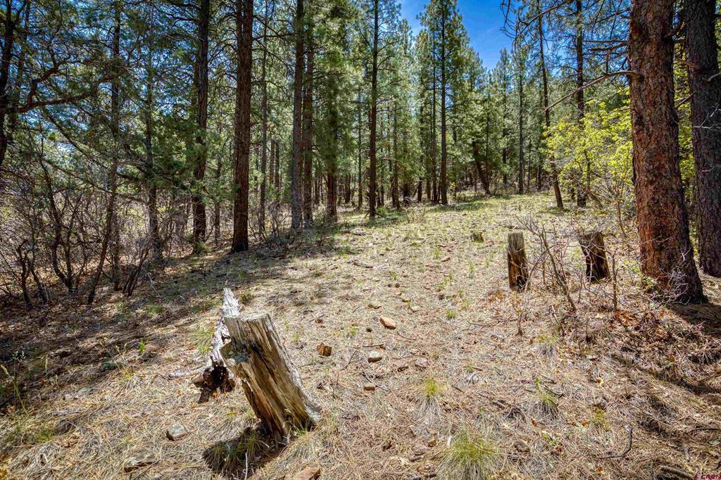 1025 Bobs Place Pagosa Springs CO 81147