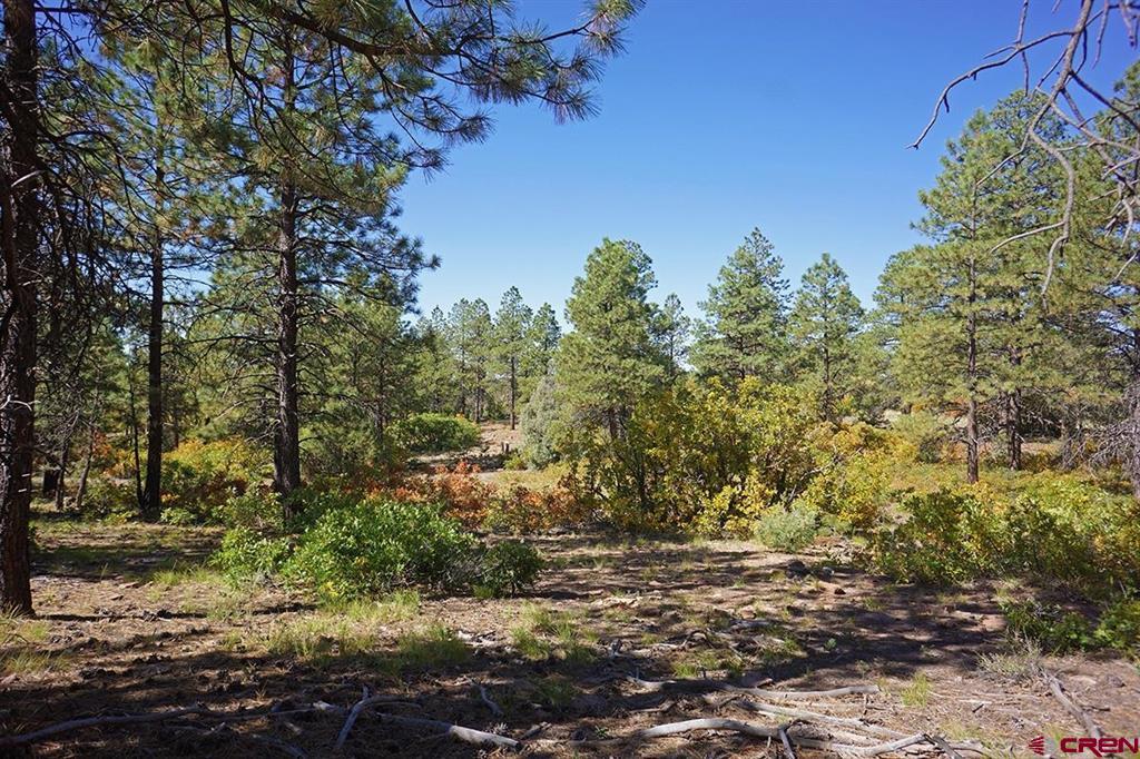7 Road T.7 Mancos CO 81328