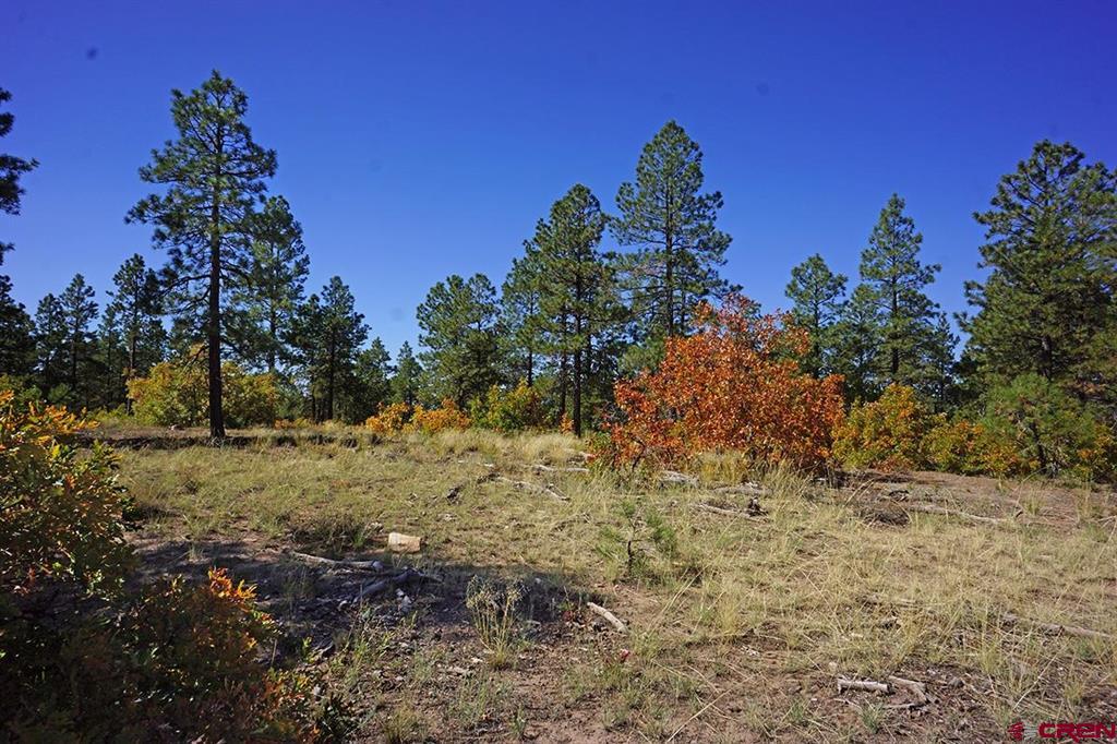 7 Road T.7 Mancos CO 81328