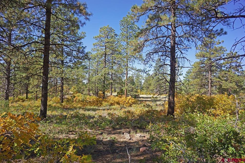 7 Road T.7 Mancos CO 81328