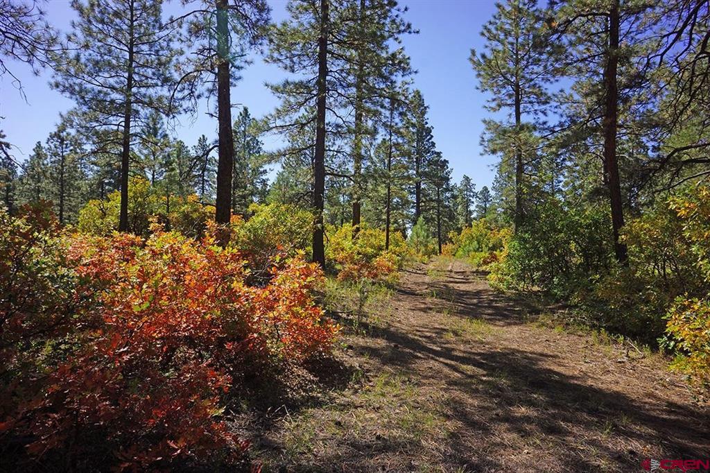 7 Road T.7 Mancos CO 81328