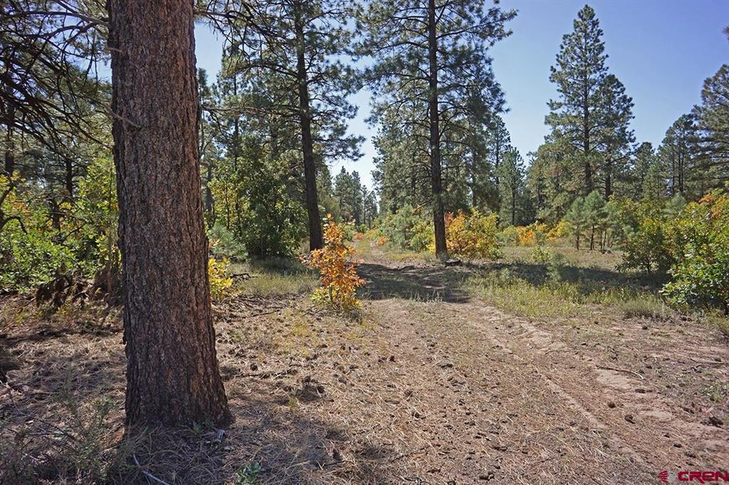 7 Road T.7 Mancos CO 81328