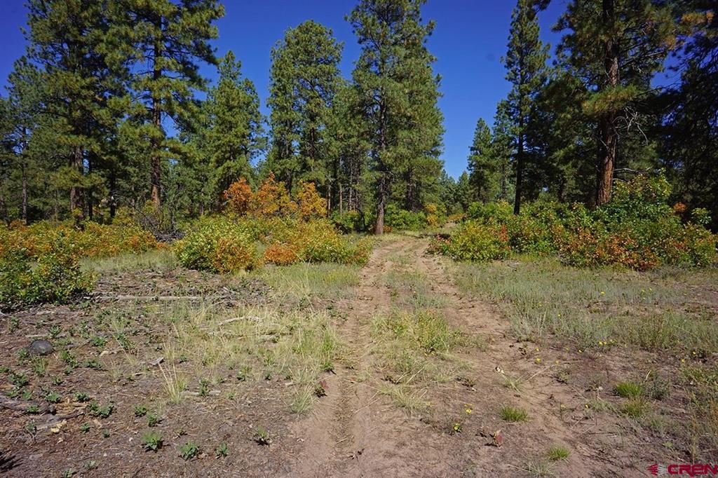 7 Road T.7 Mancos CO 81328