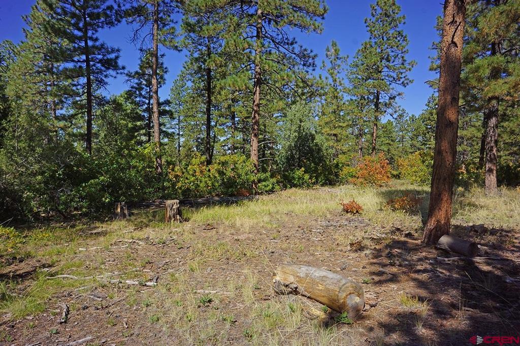 7 Road T.7 Mancos CO 81328
