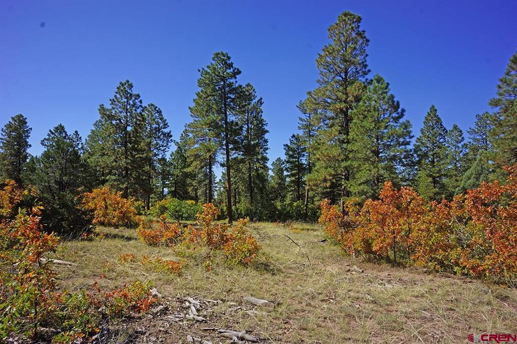 7 Road T.7 Mancos CO 81328
