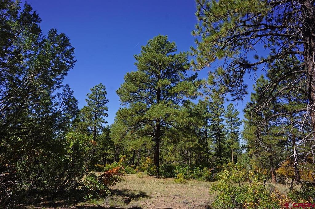 7 Road T.7 Mancos CO 81328