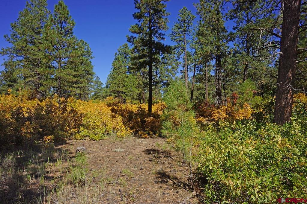7 Road T.7 Mancos CO 81328