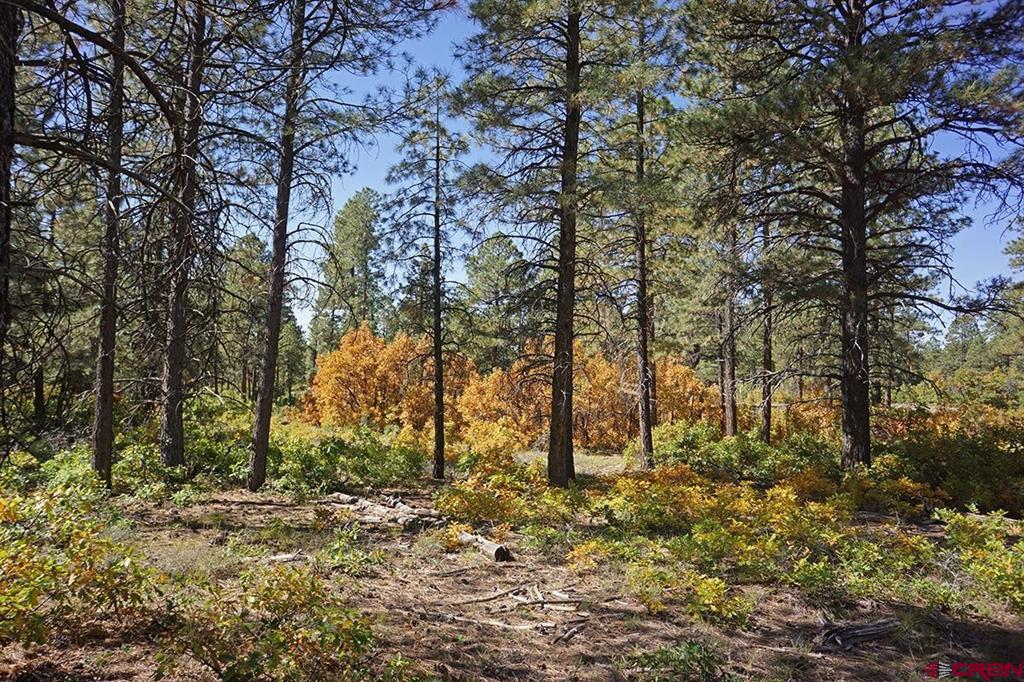 7 Road T.7 Mancos CO 81328