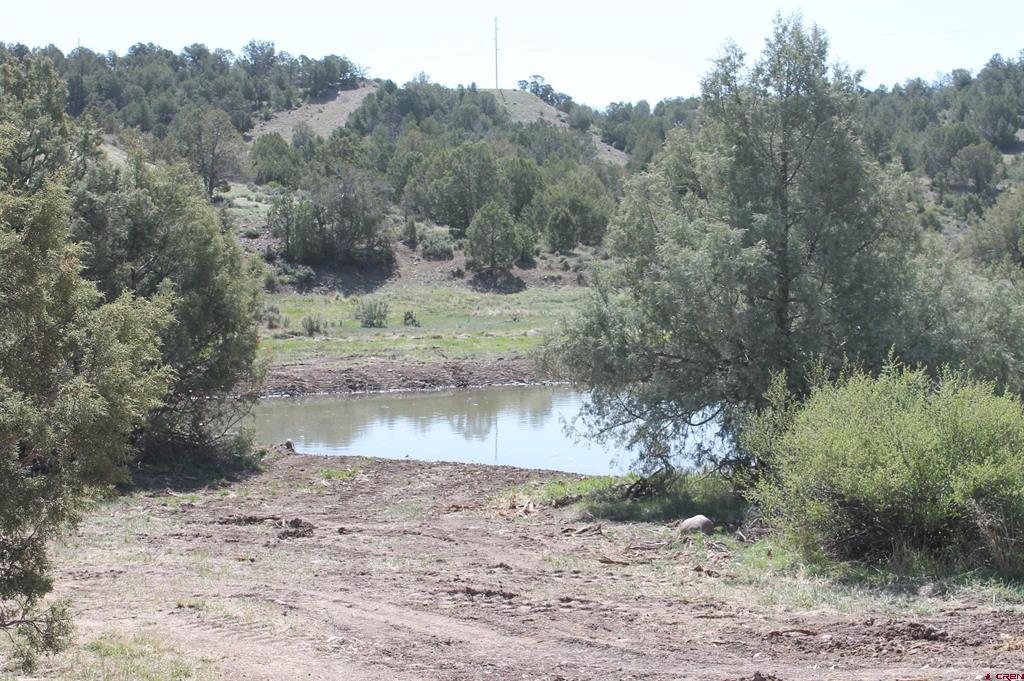 3605 Cr 307 Durango CO 81303