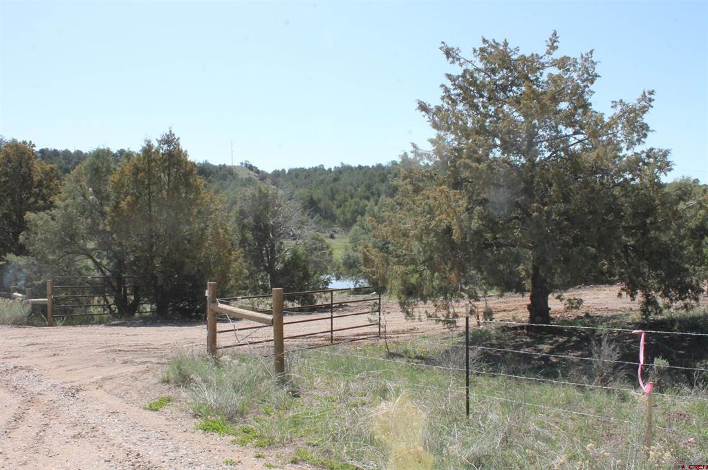 3605 Cr 307 Durango CO 81303