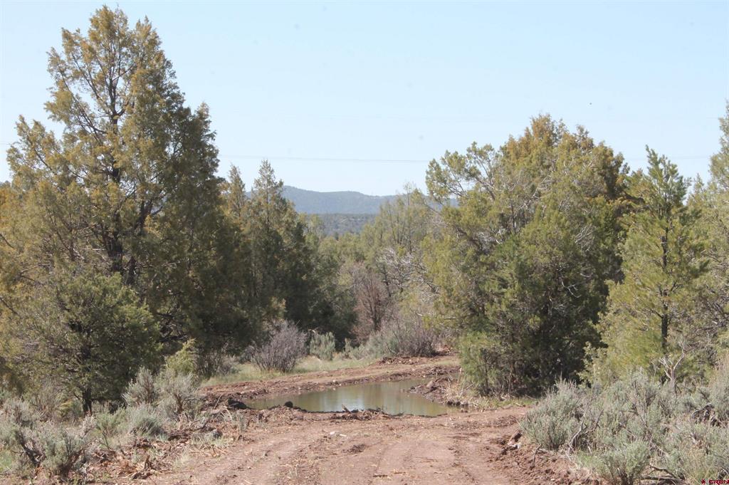 3605 Cr 307 Durango CO 81303