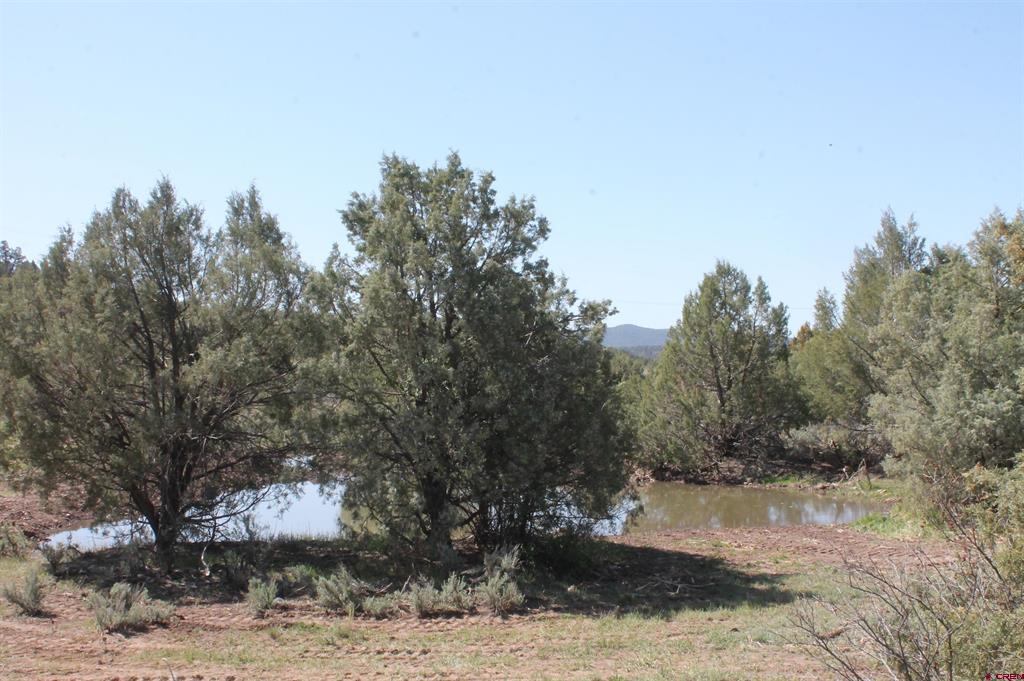 3605 Cr 307 Durango CO 81303