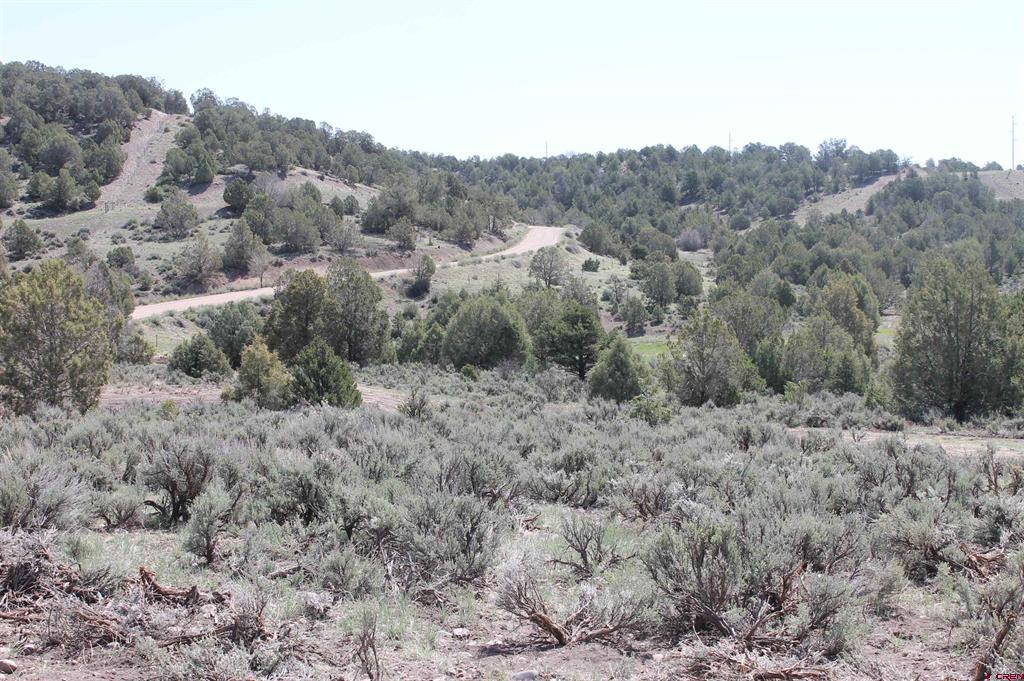 3605 Cr 307 Durango CO 81303