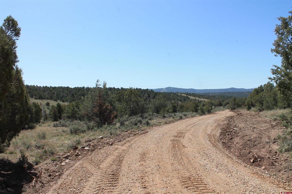3605 Cr 307 Durango CO 81303