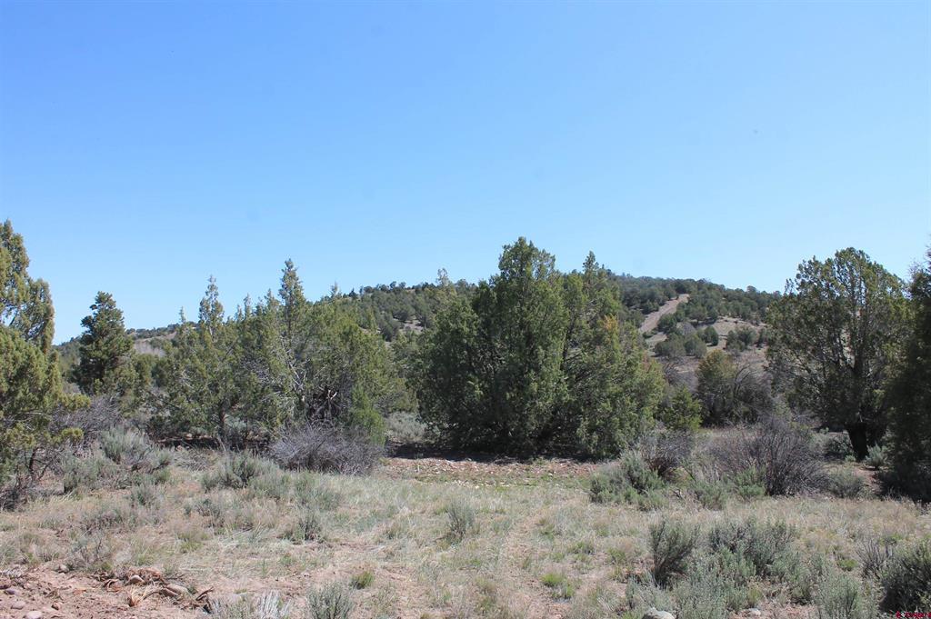 3605 Cr 307 Durango CO 81303