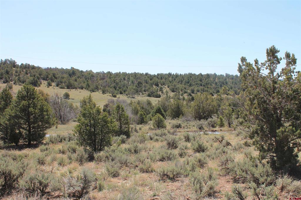 3605 Cr 307 Durango CO 81303