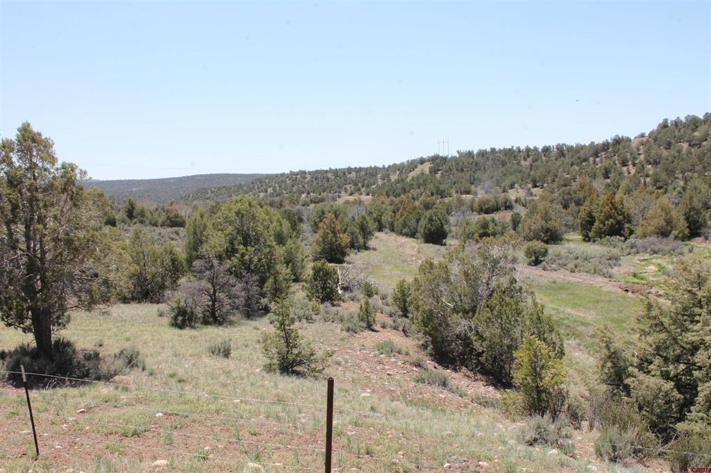 3605 Cr 307 Durango CO 81303