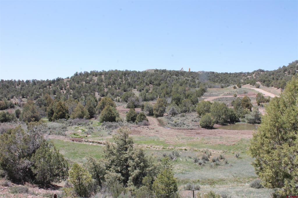 3605 Cr 307 Durango CO 81303