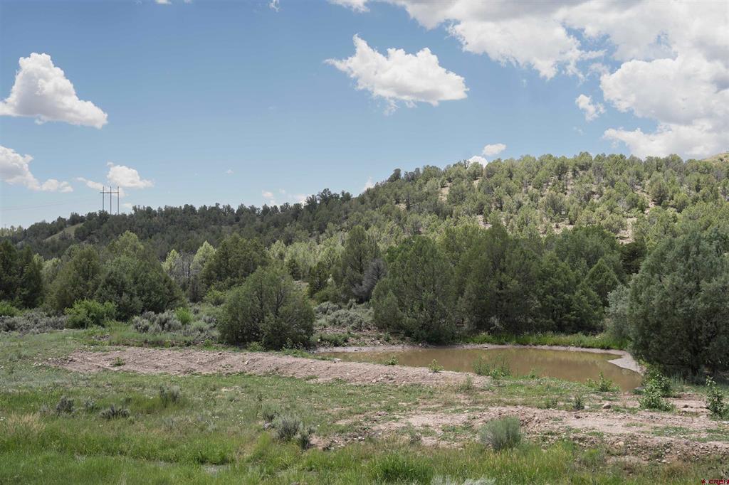 3605 Cr 307 Durango CO 81303
