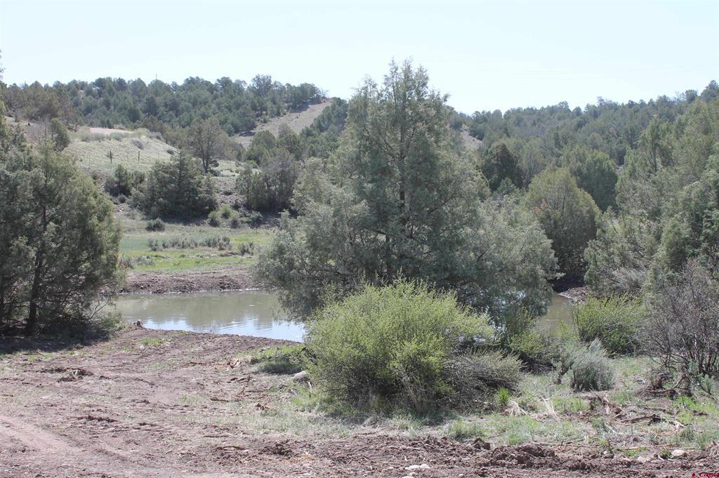 3605 Cr 307 Durango CO 81303