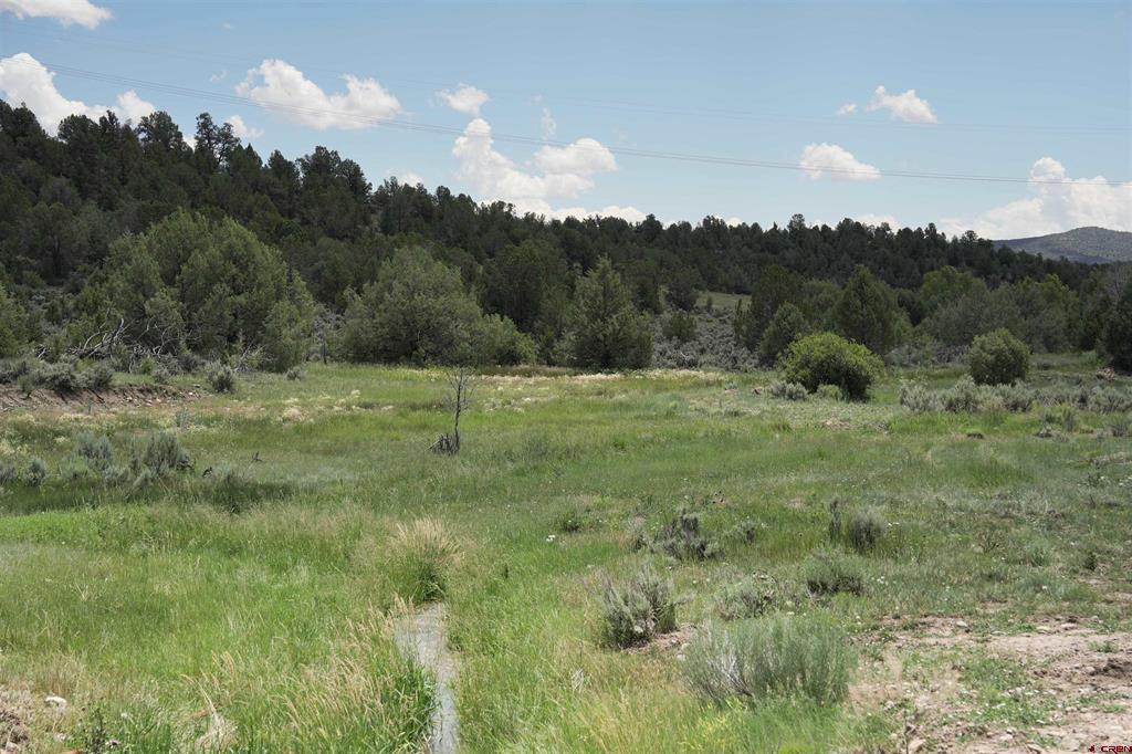 3605 Cr 307 Durango CO 81303