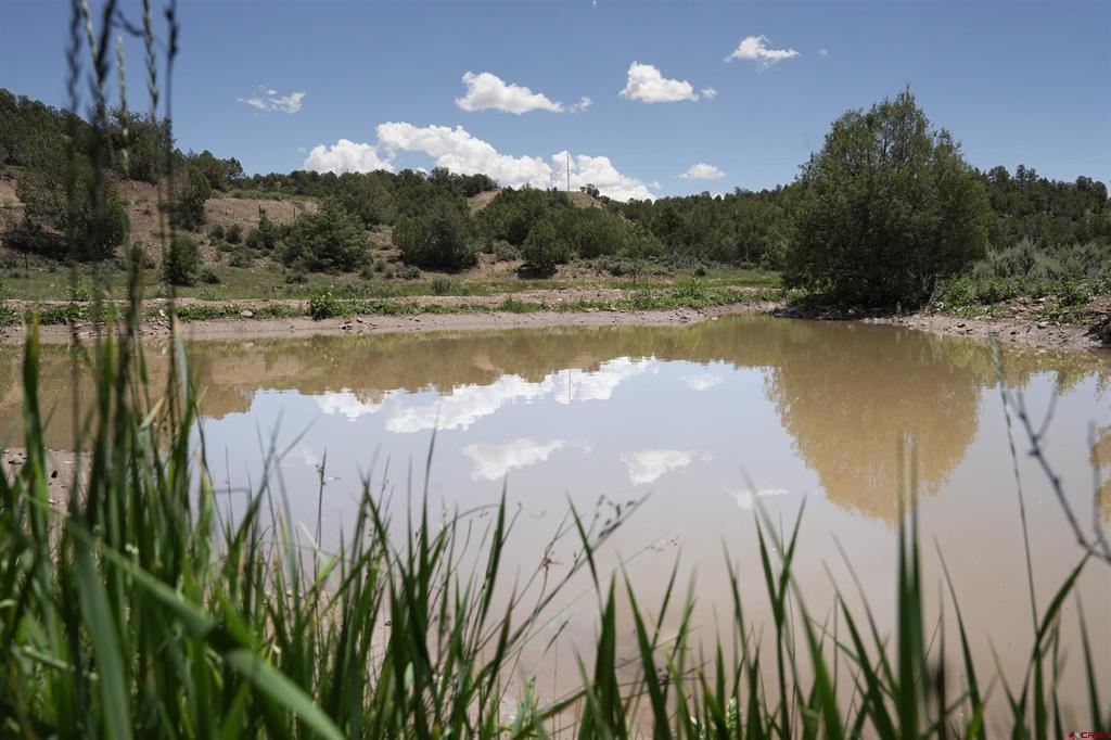 3605 Cr 307 Durango CO 81303