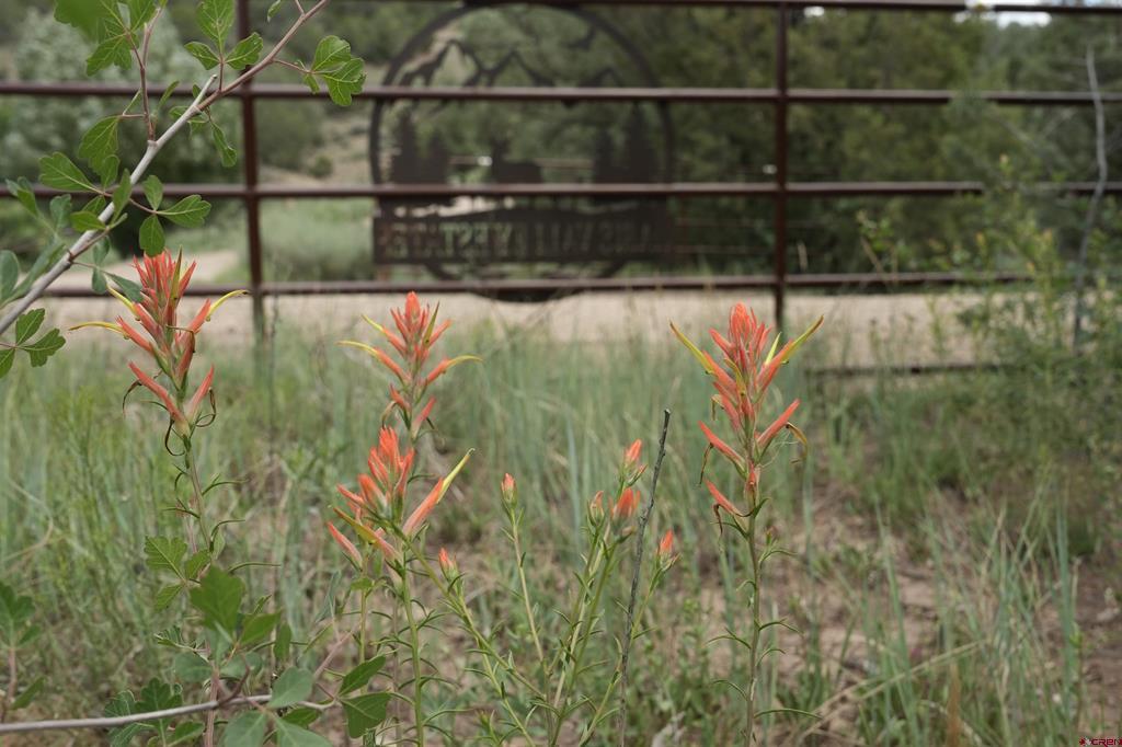 3605 Cr 307 Durango CO 81303