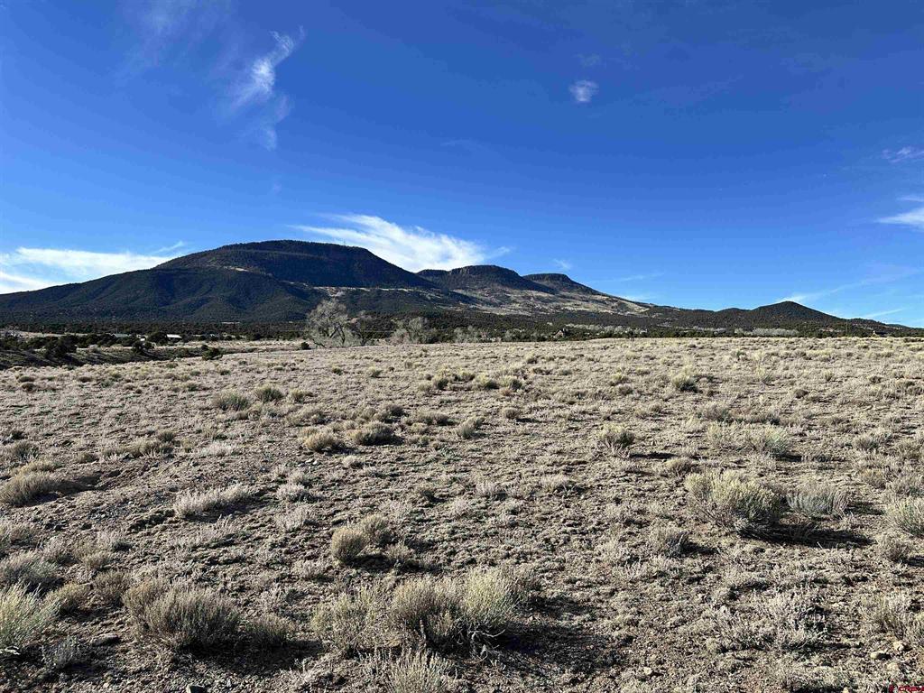 396 Frontier Way South Fork CO 81154