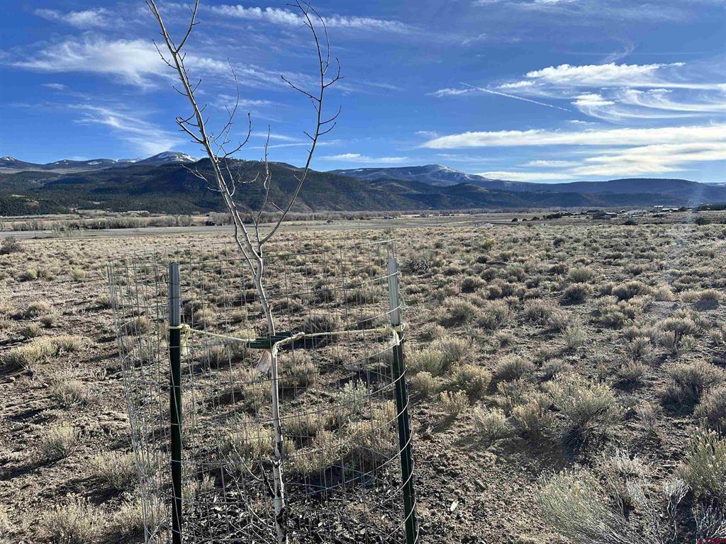 396 Frontier Way South Fork CO 81154