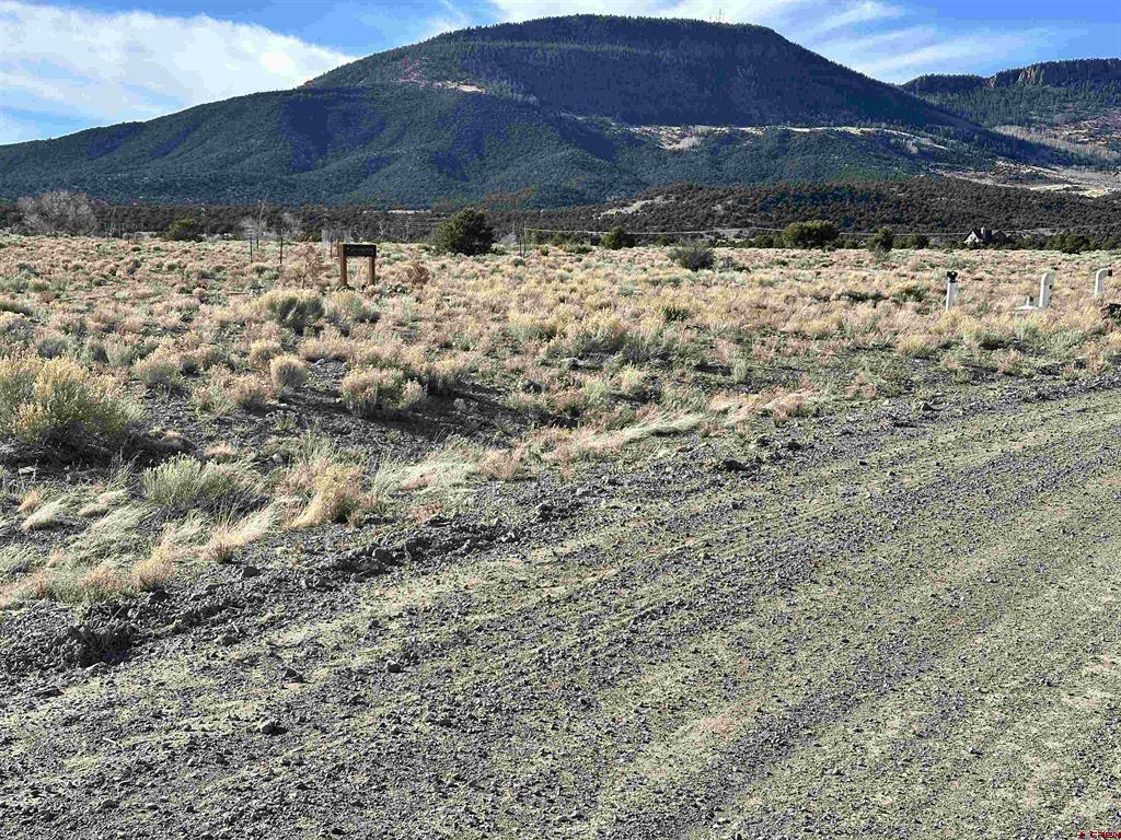 396 Frontier Way South Fork CO 81154