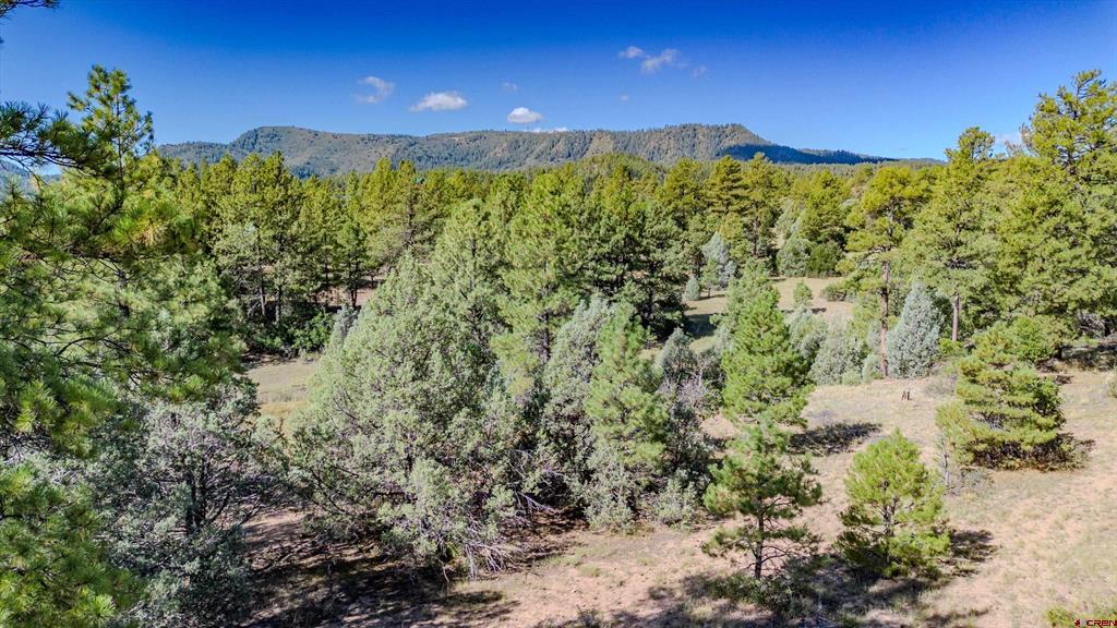 3169 Meadows Drive Pagosa Springs CO 81147