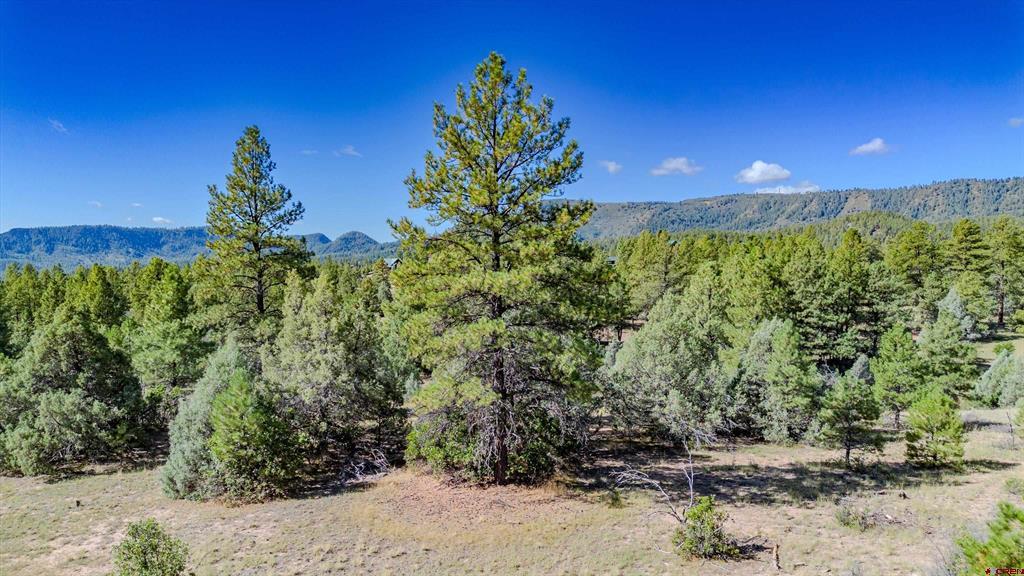 3169 Meadows Drive Pagosa Springs CO 81147