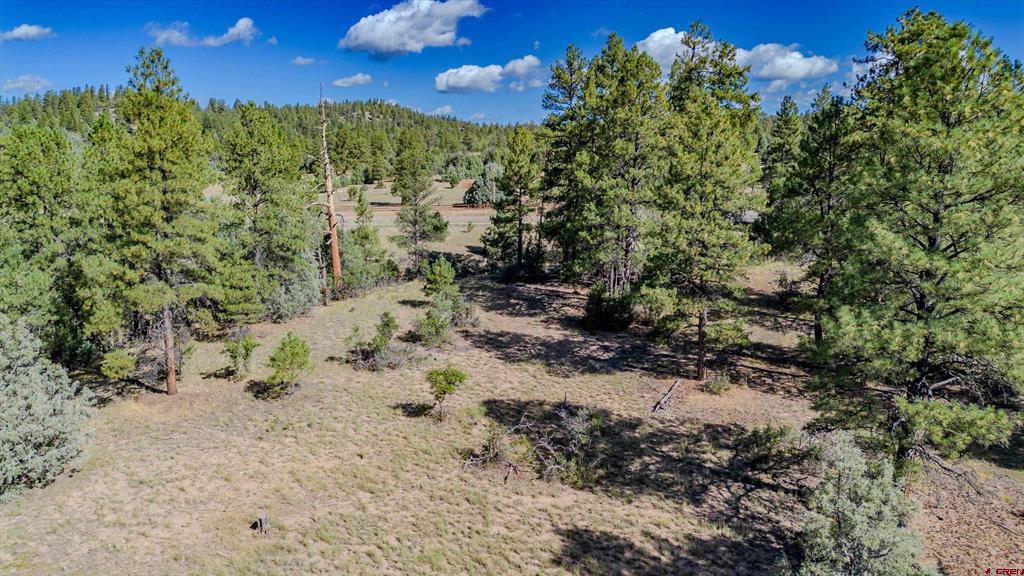 3169 Meadows Drive Pagosa Springs CO 81147