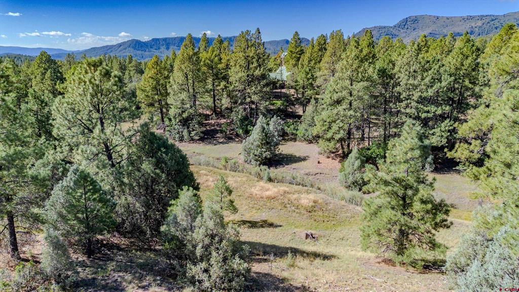 3169 Meadows Drive Pagosa Springs CO 81147