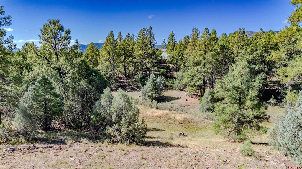 3169 Meadows Drive Pagosa Springs CO 81147