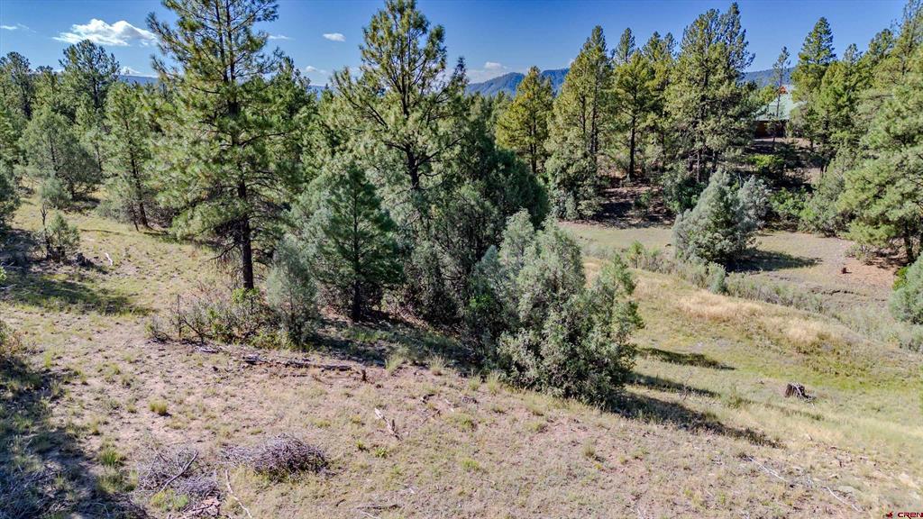 3169 Meadows Drive Pagosa Springs CO 81147