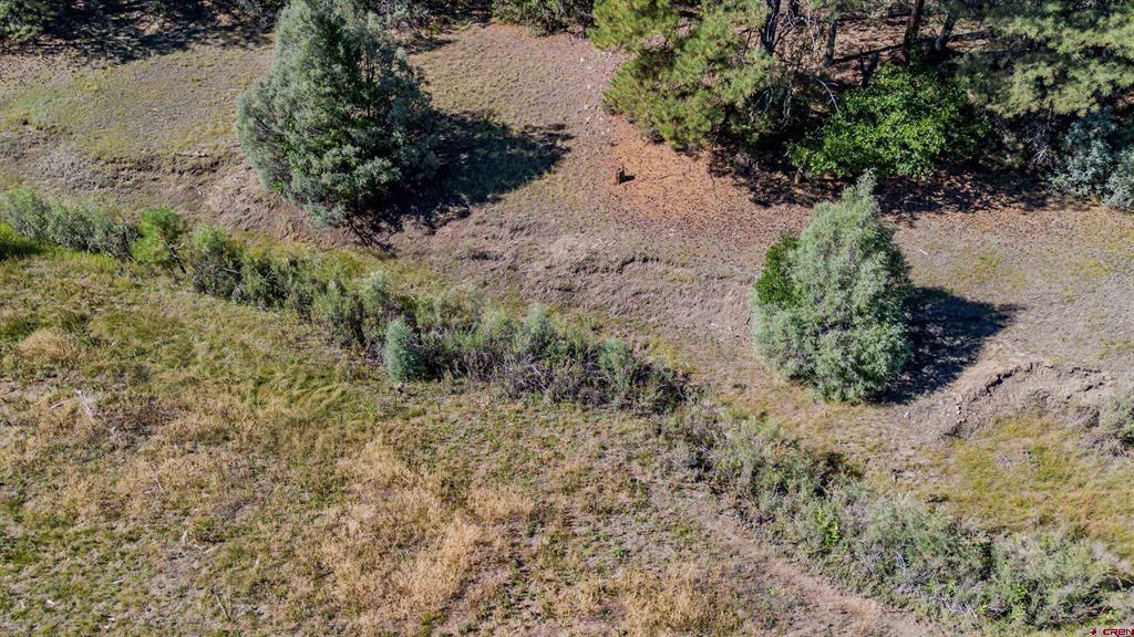 3169 Meadows Drive Pagosa Springs CO 81147