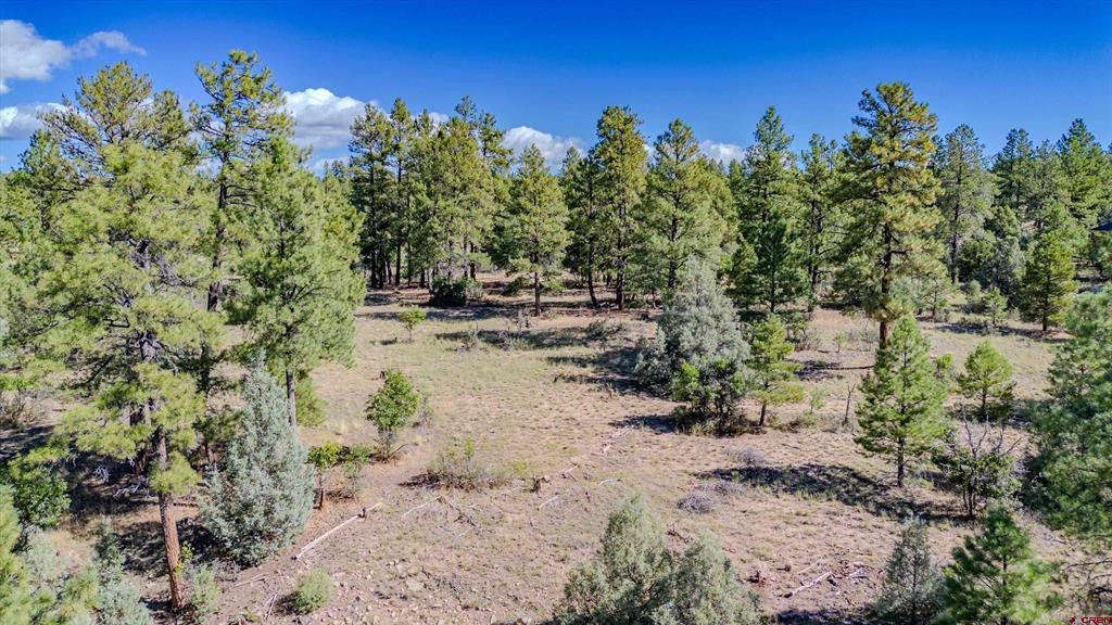 3169 Meadows Drive Pagosa Springs CO 81147