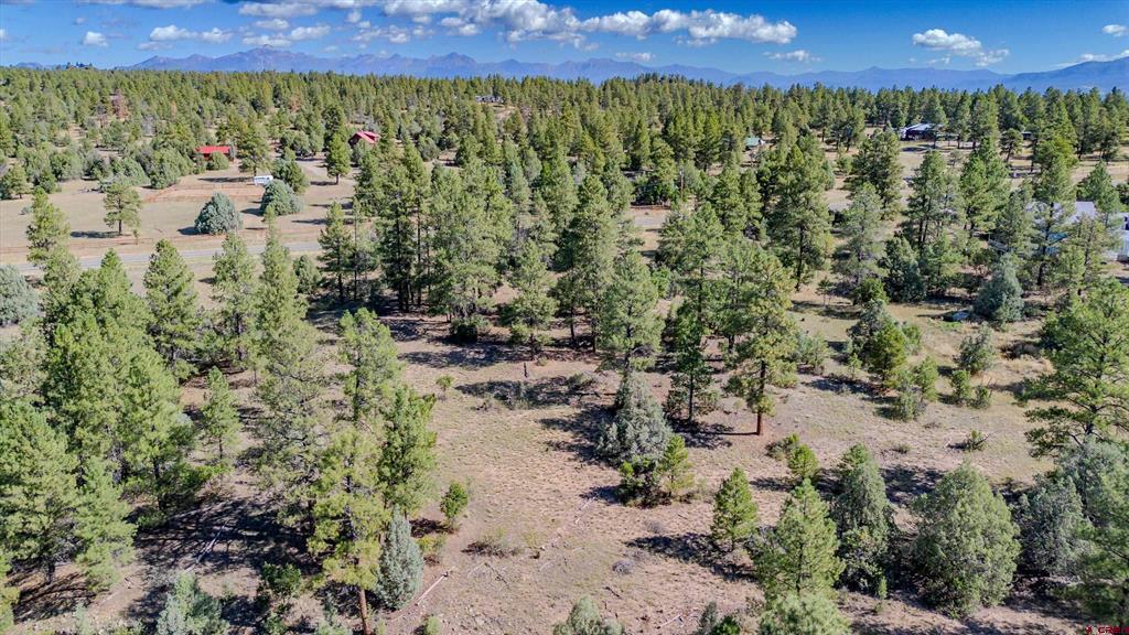 3169 Meadows Drive Pagosa Springs CO 81147