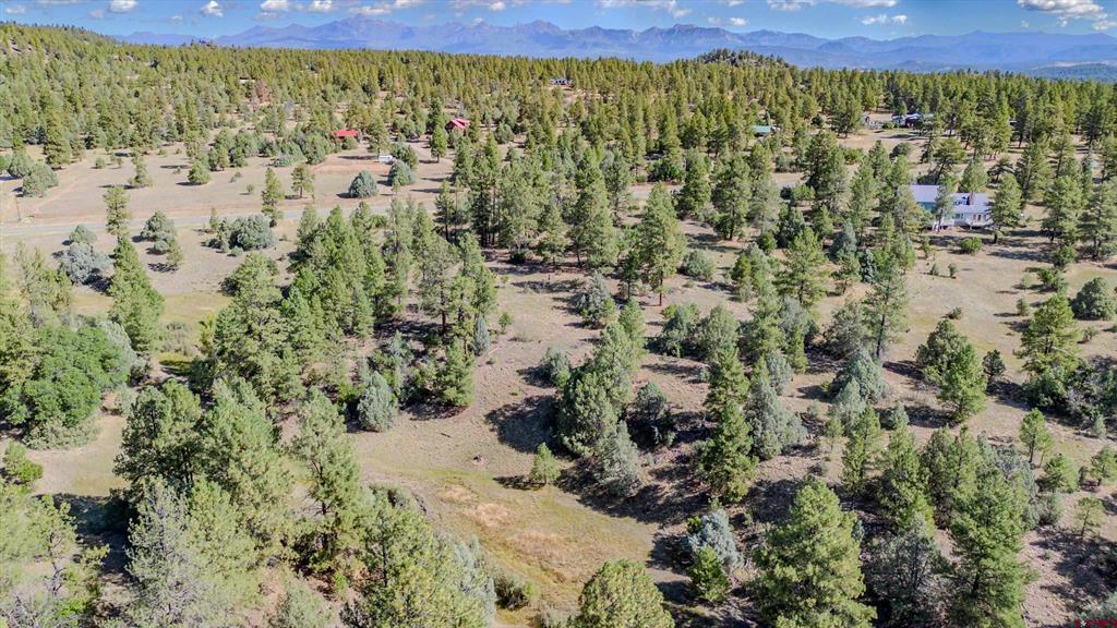 3169 Meadows Drive Pagosa Springs CO 81147
