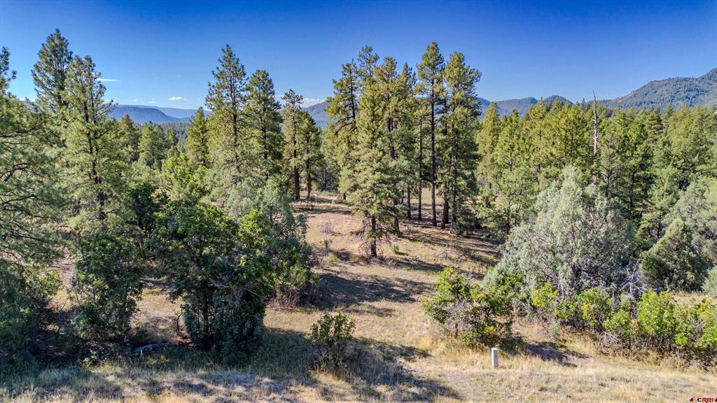 3169 Meadows Drive Pagosa Springs CO 81147