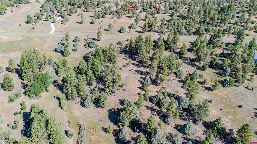 3169 Meadows Drive Pagosa Springs CO 81147