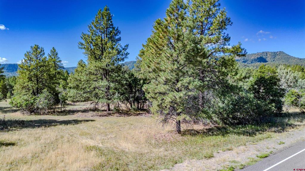 3169 Meadows Drive Pagosa Springs CO 81147