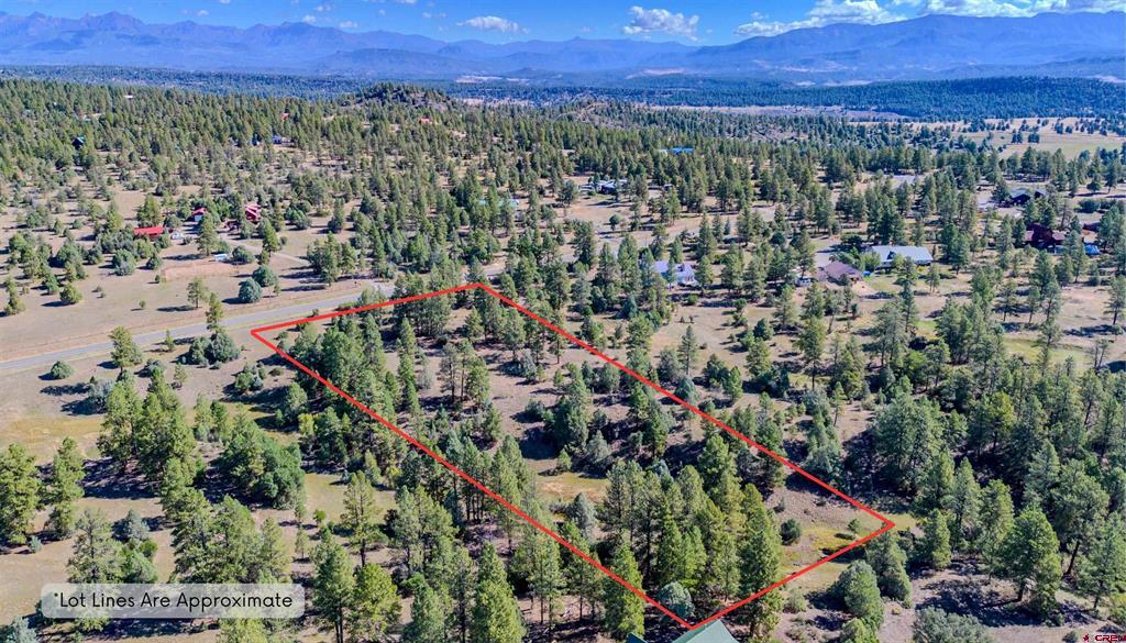 3169 Meadows Drive Pagosa Springs CO 81147