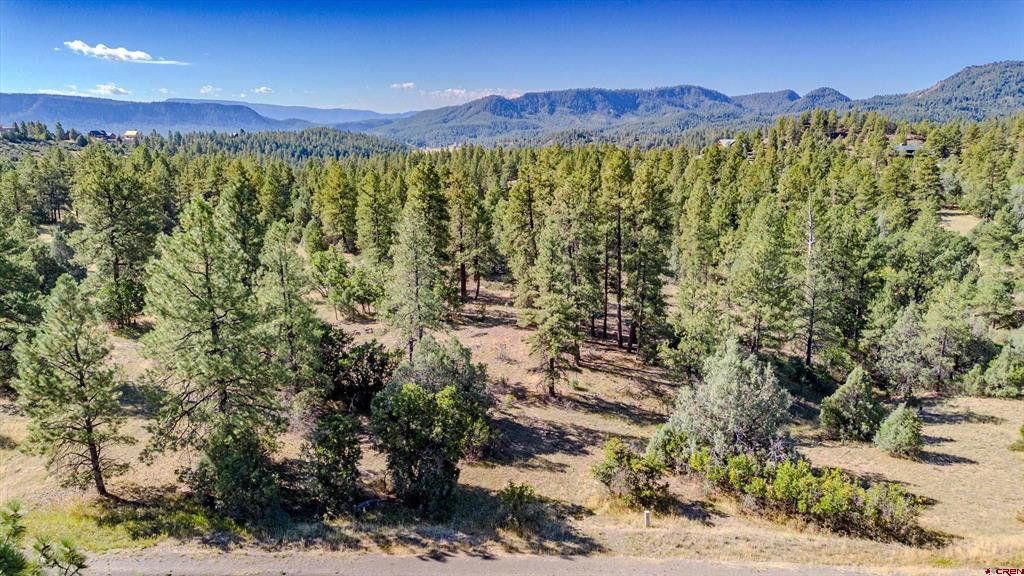 3169 Meadows Drive Pagosa Springs CO 81147